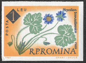 Romania. 1961 The 100th Anniversary of the Botanical Garden, Bucharest - Flowers. 1L. MNH. Mi2026B