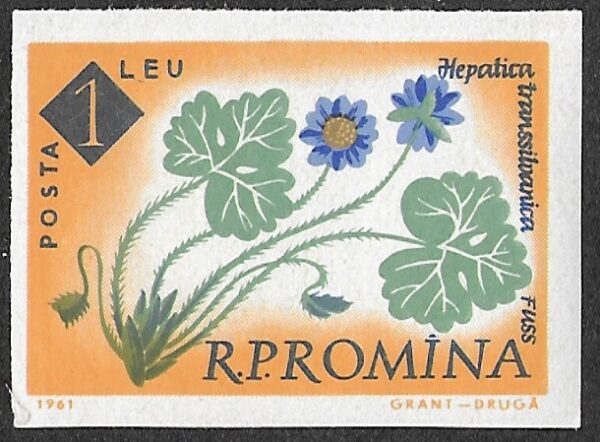 Romania. 1961 The 100th Anniversary of the Botanical Garden, Bucharest - Flowers. 1L. MNH. Mi2026B