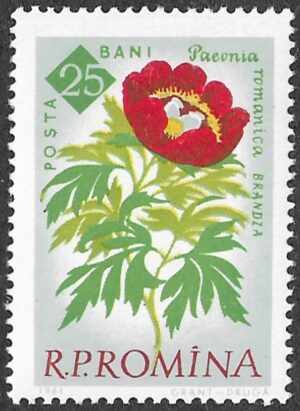 Romania. 1961 The 100th Anniversary of the Botanical Garden, Bucharest - Flowers. 25B. MNH. Mi2022