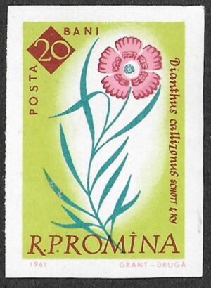 Romania. 1961 The 100th Anniversary of the Botanical Garden, Bucharest - Flowers. 20B. MNH. Mi2021B