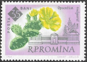 Romania. 1961 The 100th Anniversary of the Botanical Garden, Bucharest - Flowers. 35B. MNH. Mi2023