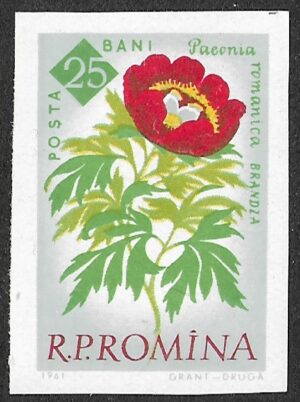 Romania. 1961 The 100th Anniversary of the Botanical Garden, Bucharest - Flowers. 25B. MNH. Mi2022B