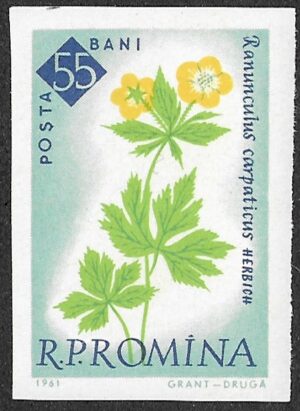 Romania. 1961 The 100th Anniversary of the Botanical Garden, Bucharest - Flowers. 55B. MNH. Mi2025B