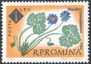 Romania. 1961 The 100th Anniversary of the Botanical Garden, Bucharest - Flowers. 1L. MNH. Mi2026