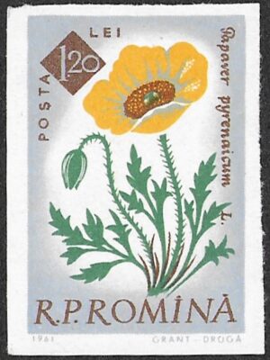 Romania. 1961 The 100th Anniversary of the Botanical Garden, Bucharest - Flowers. 1.20L. MNH. Mi2027B