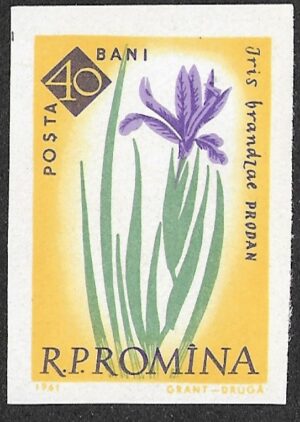 Romania. 1961 The 100th Anniversary of the Botanical Garden, Bucharest - Flowers. 40B. MNH. Mi2024B