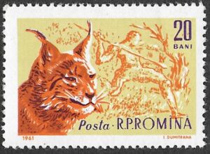 Romania. 1961 Game Animals. 20B. MNH. Mi1982