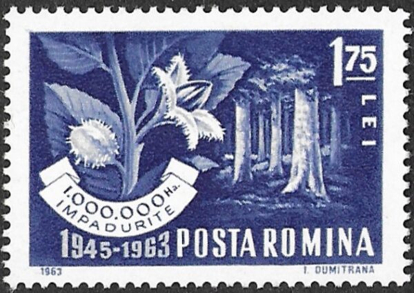 Romania. 1963 Reforestation. 1.75L. MNH. Mi2213