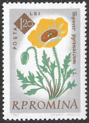 Romania. 1961 The 100th Anniversary of the Botanical Garden, Bucharest - Flowers. 1.20L. MNH. Mi2027