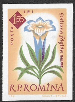 Romania. 1961 The 100th Anniversary of the Botanical Garden, Bucharest - Flowers. 1.55L. MNH. Mi2028B