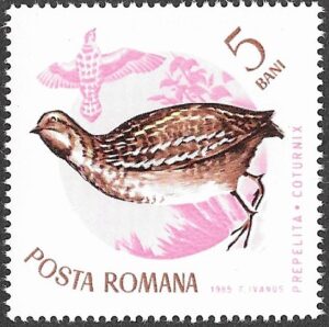 Romania. 1965 Birds. 5B. MNH. Mi2430