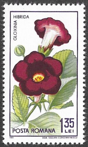 Romania. 1965 The 45th Anniversary of the Founding of Cluj Botanical Garden. 1.35L. MNH. Mi2449