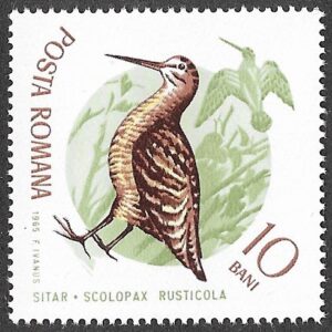 Romania. 1965 Birds. 10B. MNH. Mi2431