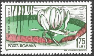 Romania. 1965 The 45th Anniversary of the Founding of Cluj Botanical Garden. 1.75L. MNH. Mi2450