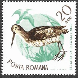 Romania. 1965 Birds. 20B. MNH. Mi2432
