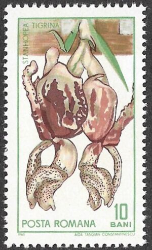Romania. 1965 The 45th Anniversary of the Founding of Cluj Botanical Garden. 10B. MNH. Mi2443