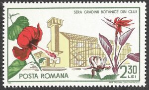 Romania. 1965 The 45th Anniversary of the Founding of Cluj Botanical Garden. 2.30L. MNH. Mi2451