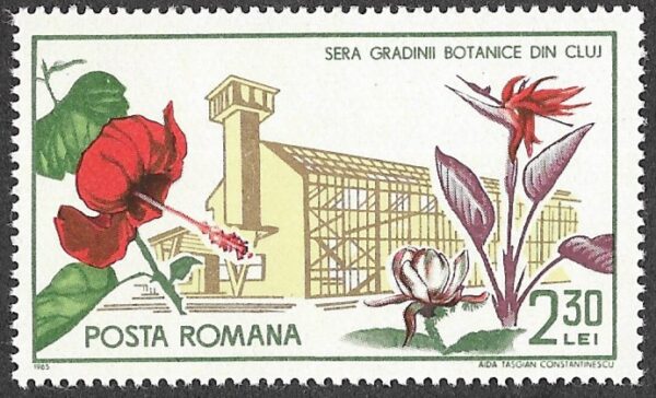 Romania. 1965 The 45th Anniversary of the Founding of Cluj Botanical Garden. 2.30L. MNH. Mi2451