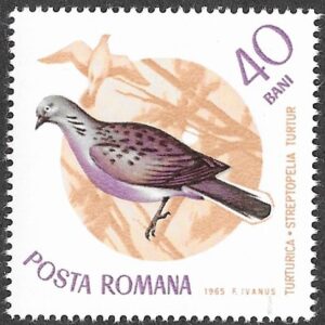 Romania. 1965 Birds. 40B. MNH. Mi2433
