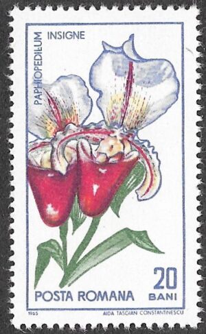 Romania. 1965 The 45th Anniversary of the Founding of Cluj Botanical Garden. 20B. MNH. Mi2444