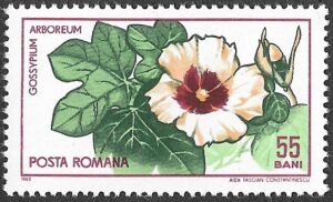 Romania. 1965 The 45th Anniversary of the Founding of Cluj Botanical Garden. 55B. MNH. Mi2447