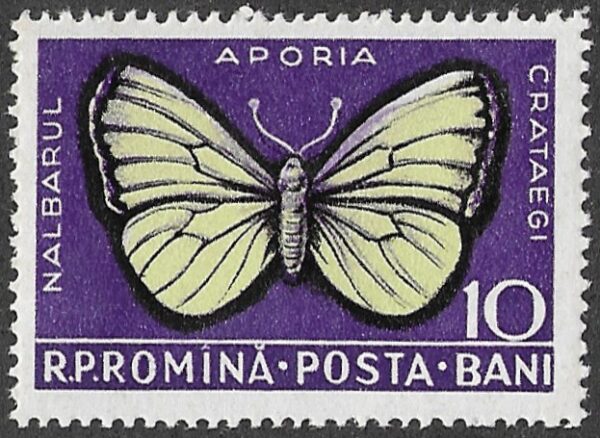 Romania. 1956 Insects. 10B. MH. Mi1586