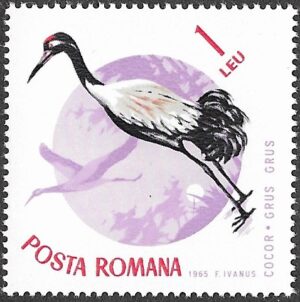 Romania. 1965 Birds. 1L. MNH. Mi2436