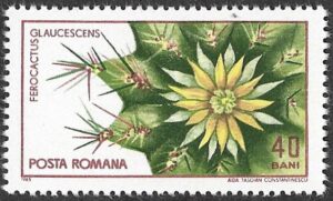 Romania. 1965 The 45th Anniversary of the Founding of Cluj Botanical Garden. 40B. MNH. Mi2446