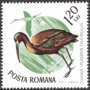 Romania. 1965 Birds. 1.20L. MNH. Mi2437