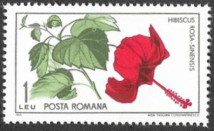 Romania. 1965 The 45th Anniversary of the Founding of Cluj Botanical Garden. 1L. MNH. Mi2448