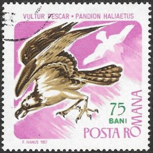 Romania. 1967 Birds of Prey. 75B. Cancelled. Mi2572