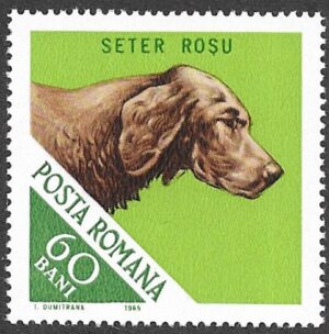 Romania. 1965 Hunting Dogs. 60B. MNH. Mi2474