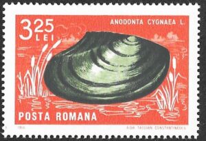 Romania. 1966 Crabs and Snails. 3.25L. MNH. Mi2551