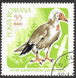 Romania. 1967 Birds of Prey. 55B. Cancelled. Mi2571
