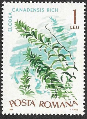 Romania. 1966 Aquatic Plants. 1L. MNH. Mi2530