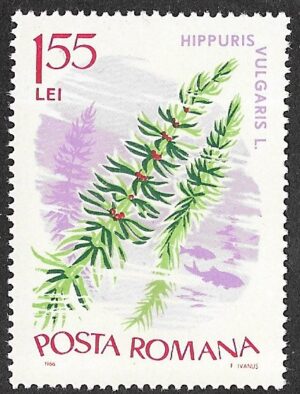Romania. 1966 Aquatic Plants. 1.55L. MNH. Mi2531