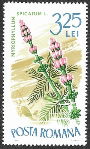 Romania. 1966 Aquatic Plants. 3.25L. MNH. Mi2532