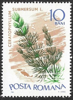 Romania. 1966 Aquatic Plants. 10B. MNH. Mi2526