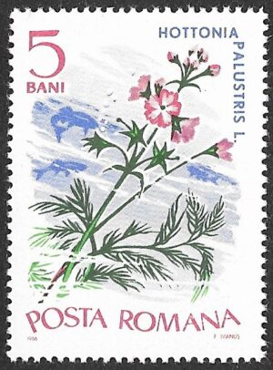 Romania. 1966 Aquatic Plants. 5B. MNH. Mi2525