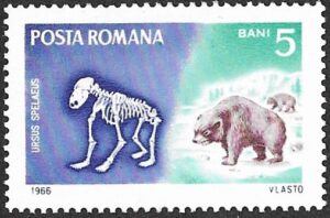 Romania. 1966 Prehistoric Animals. 5B. MNH. Mi2553