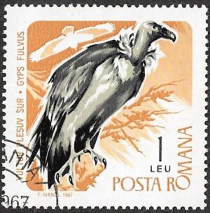 Romania. 1967 Birds of Prey. 1L. Cancelled. Mi2573