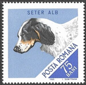 Romania. 1965 Hunting Dogs. 75B. MNH. Mi2475