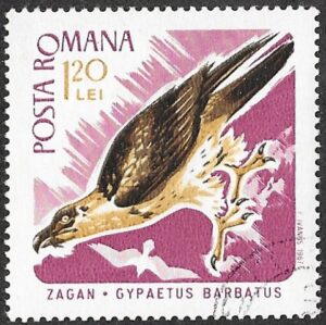 Romania. 1967 Birds of Prey. 1.20L. Cancelled. Mi2574