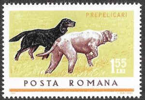Romania. 1965 Hunting Dogs. 1.55L. MNH. Mi2476