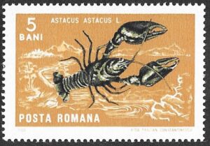 Romania. 1966 Crabs and Snails. 5B. MNH. Mi2544