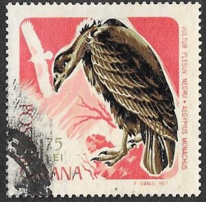 Romania. 1967 Birds of Prey. 1.75L. Cancelled. Mi2575