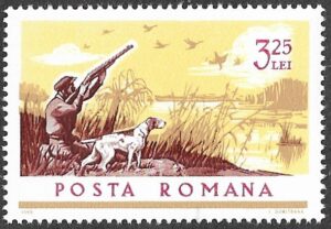 Romania. 1965 Hunting Dogs. 3.25L. MNH. Mi2477