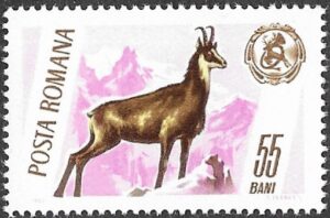 Romania. 1965 Game Animals and Trophies. 55B. MNH. Mi2460