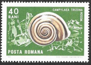 Romania. 1966 Crabs and Snails. 40B. MNH. Mi2547