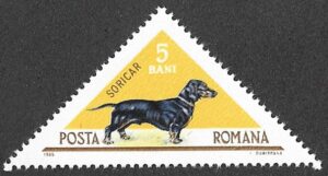 Romania. 1965 Hunting Dogs. 5B. MNH. Mi2470